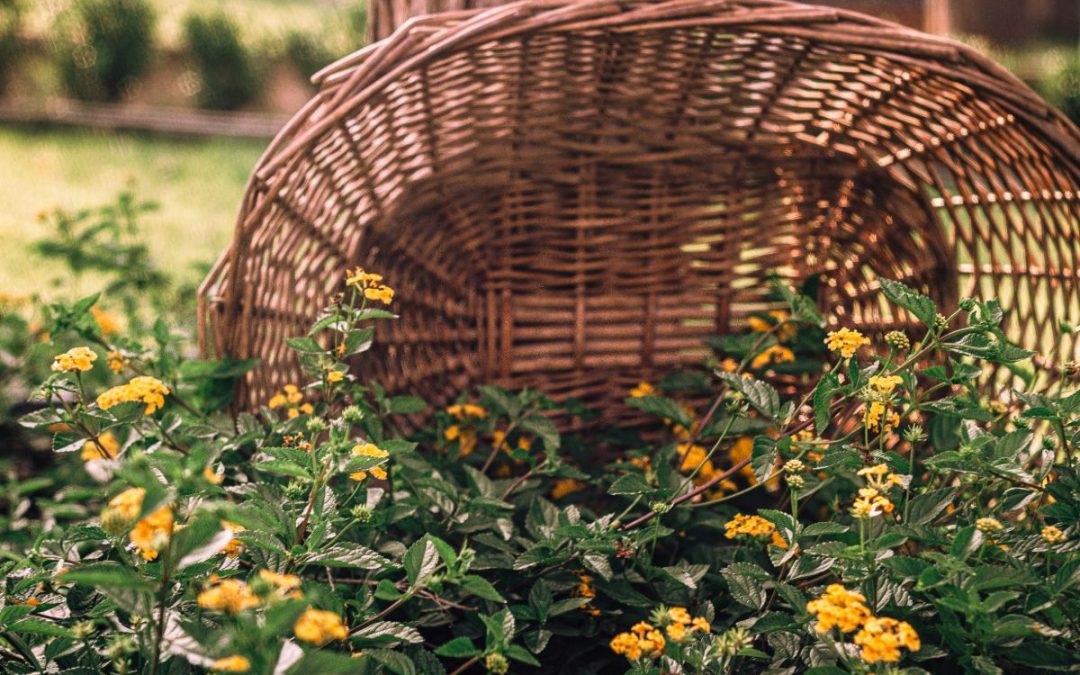 Living a Creative Life Through Every Season